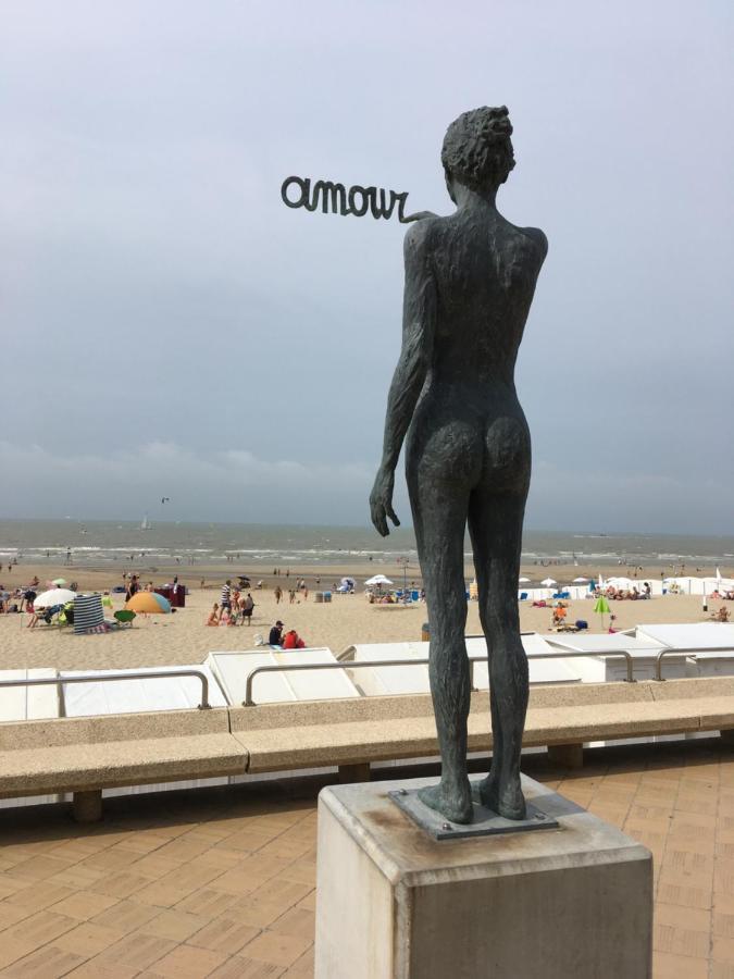 Knus Appartement Met Zicht Op Zeepolder เดอฮาน ภายนอก รูปภาพ
